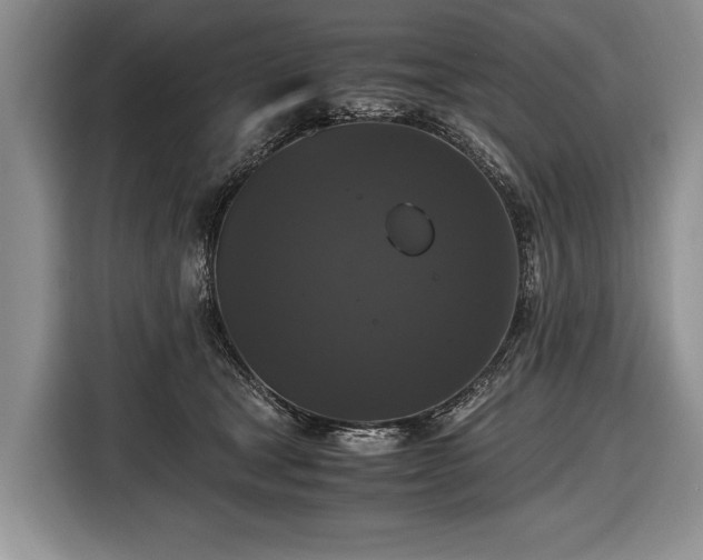 X0000116440465200912151243