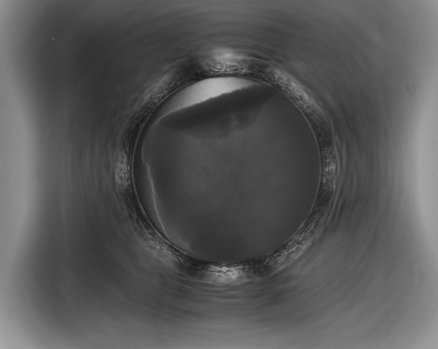 X0000116440469200912151243