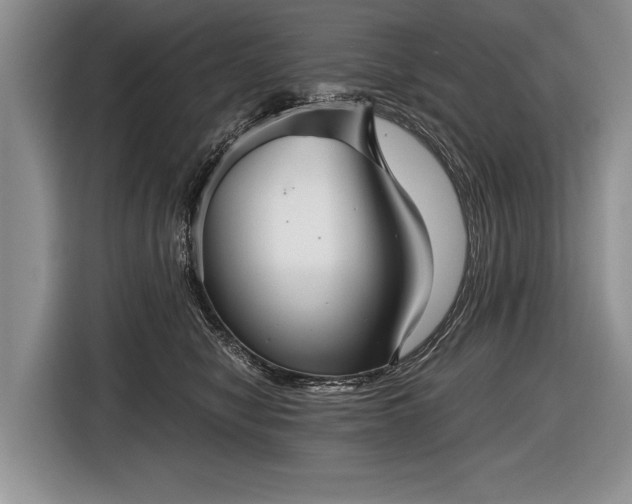 X0000116440470200912151243