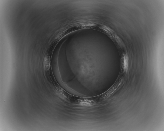 X0000116440471200912151244