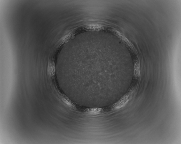 X0000116440474200912151244