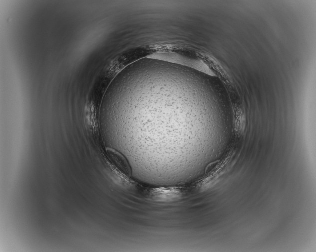 X0000116440477200912151244