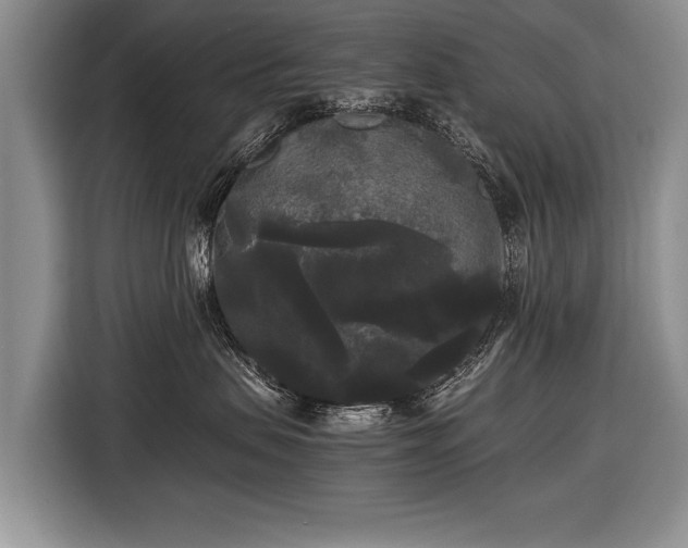 X0000116440479200912151244