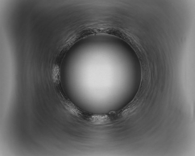 X0000116440480200912151244