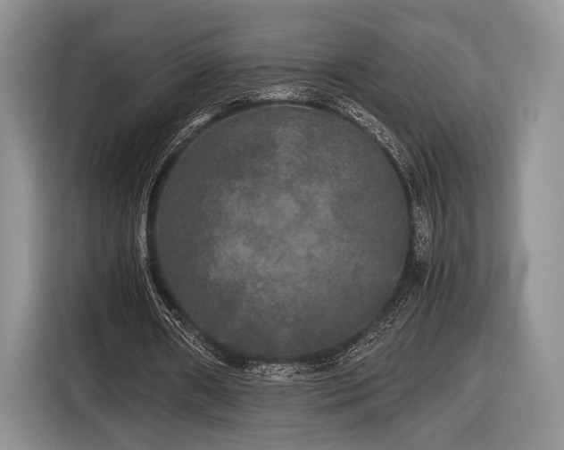 X0000116440482200912151243