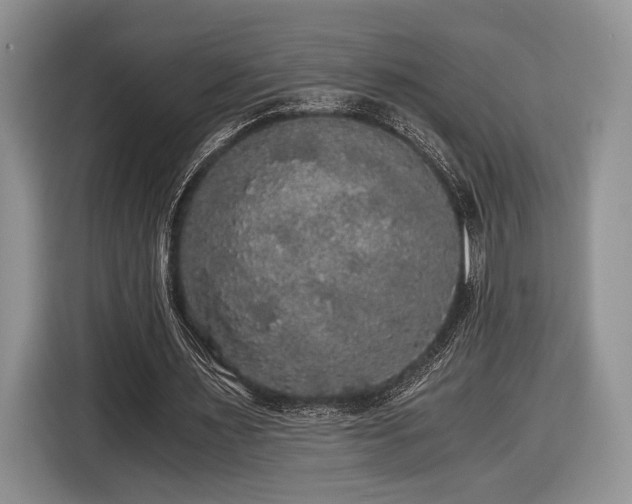 X0000116440483200912151243