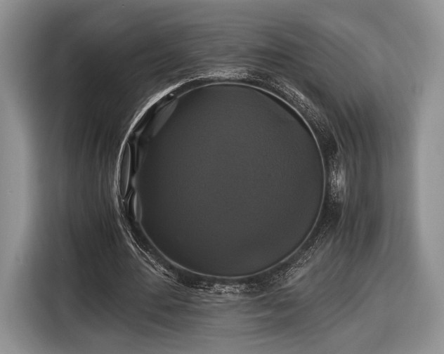 X0000116440484200912151243