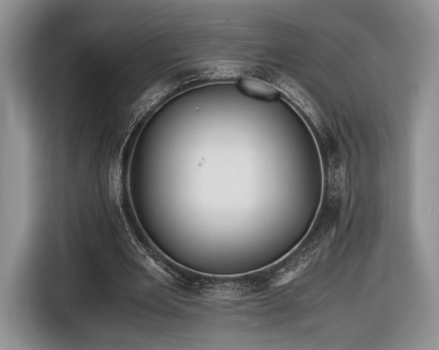 X0000116440485200912151243