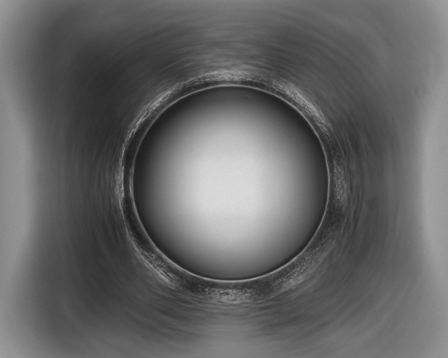 X0000116440486200912151243