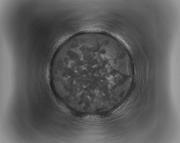 X0000116440487200912151243