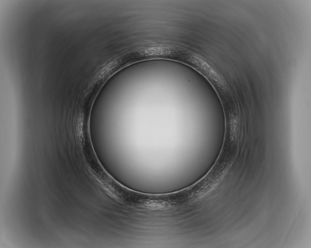X0000116440490200912151243