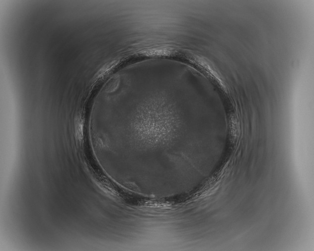 X0000116440491200912151243