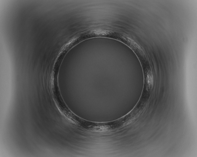 X0000116440492200912151243