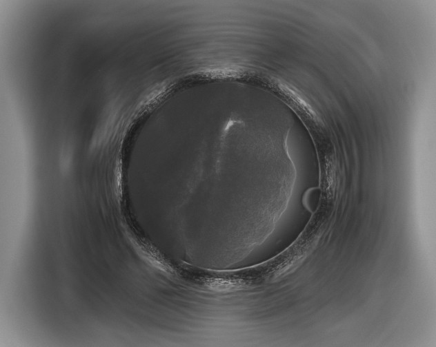 X0000116440494200912151243