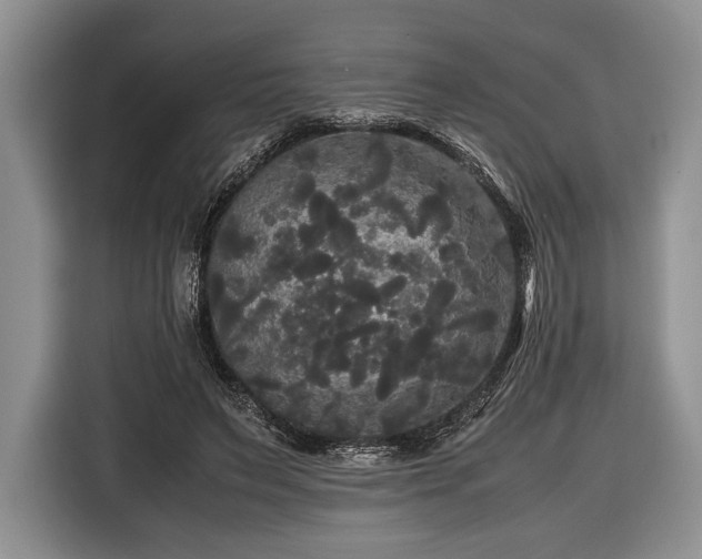 X0000116440495200912151243