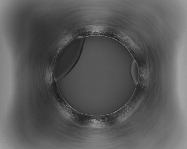 X0000116440496200912151243