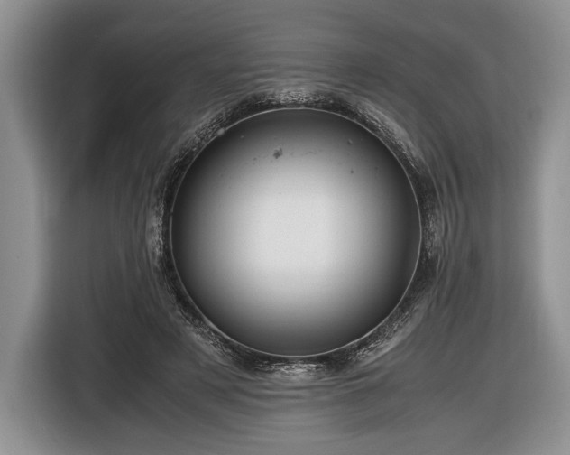 X0000116440497200912151243