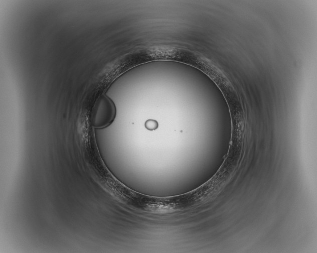 X0000116440498200912151243