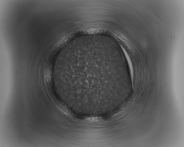 X0000116440499200912151243