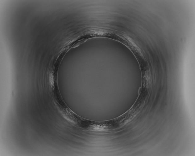 X0000116440500200912151243