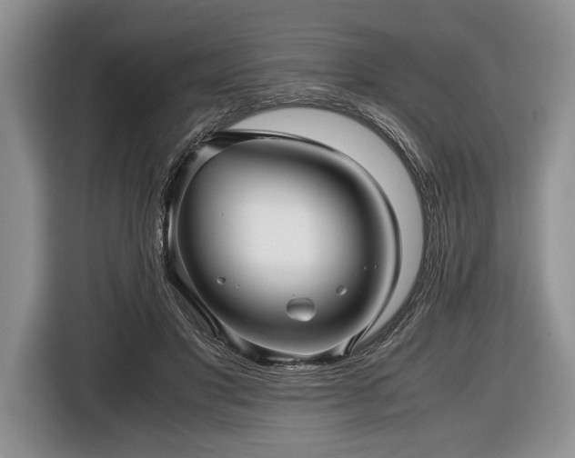 X0000116440501200912151243