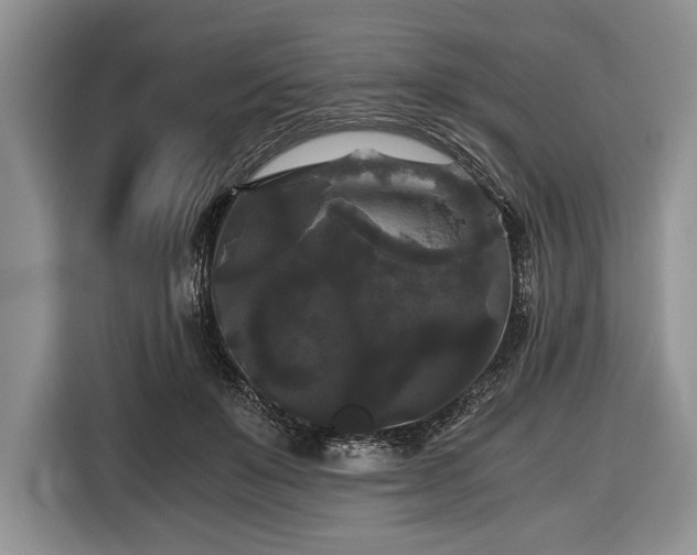 X0000116440503200912151243