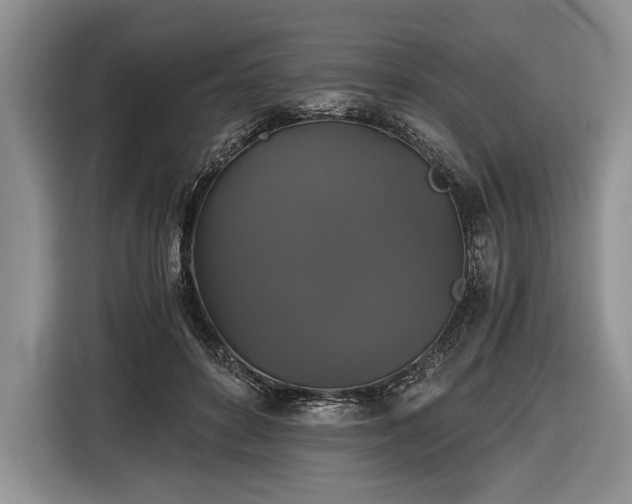 X0000116440504200912151243