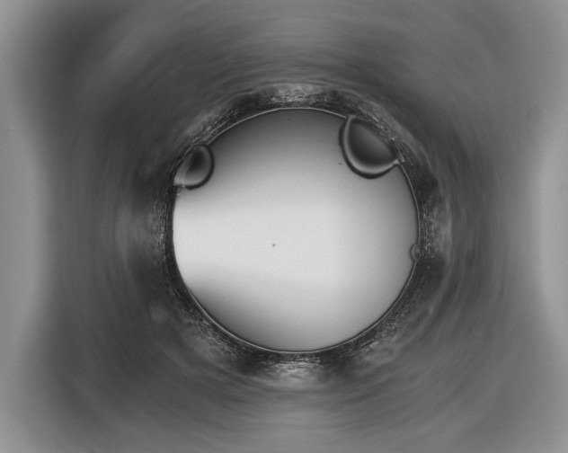 X0000116440505200912151243