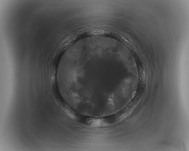 X0000116440507200912151243