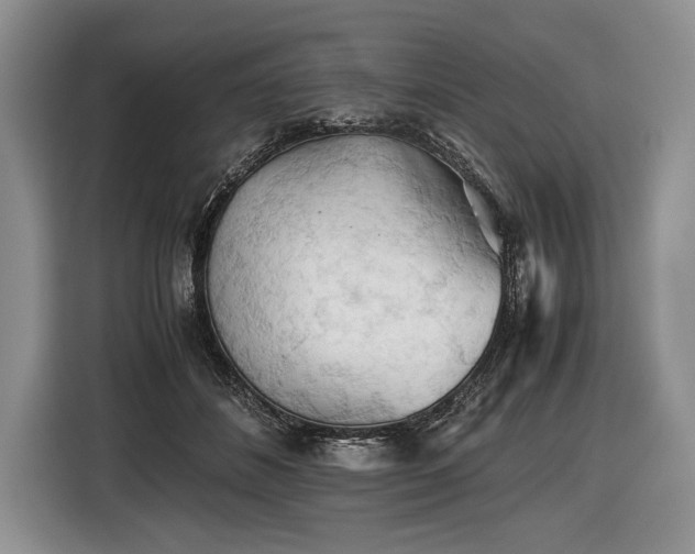 X0000116440508200912151243
