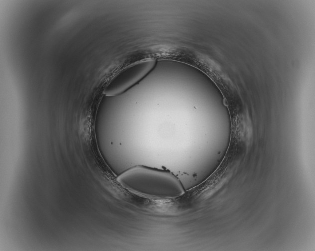 X0000116440509200912151243