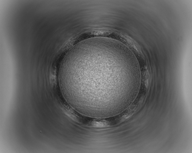 X0000116440510200912151243