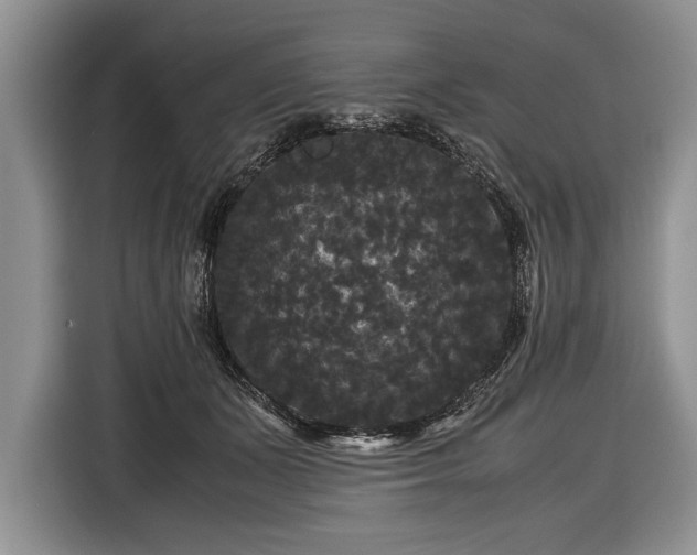X0000116440511200912151243