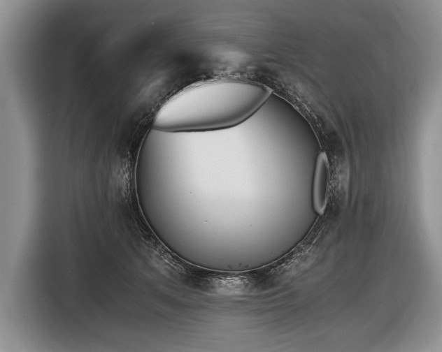 X0000116440513200912151243