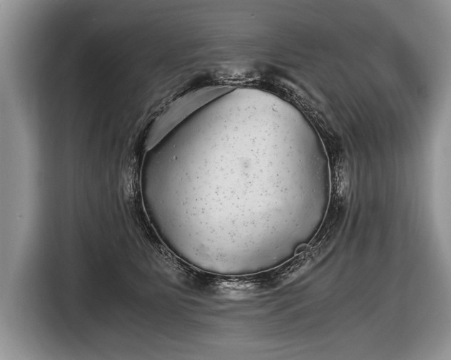 X0000116440515200912151243