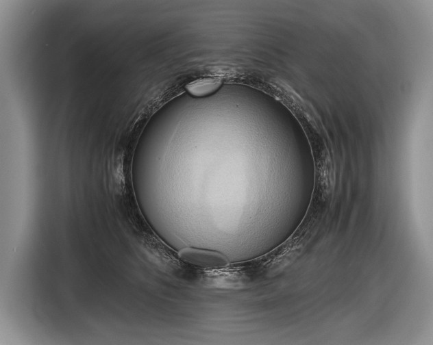 X0000116440516200912151243