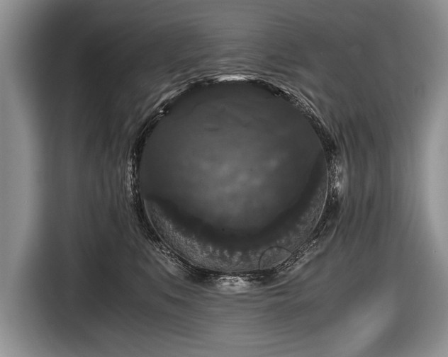 X0000116440519200912151243