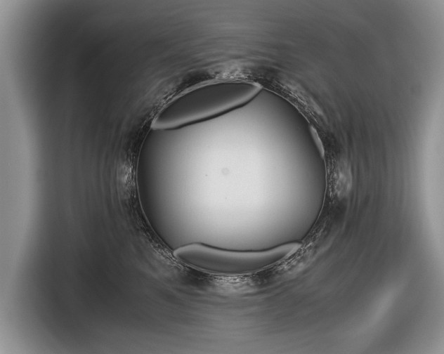 X0000116440521200912151242