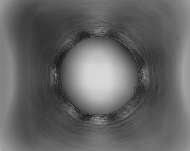 X0000116440522200912151242