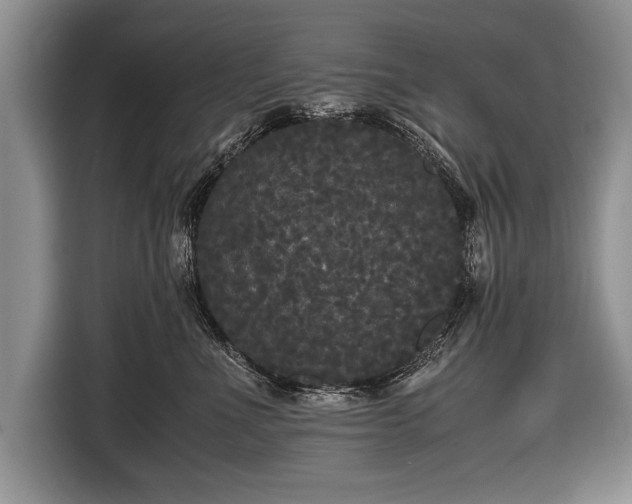 X0000116440523200912151242