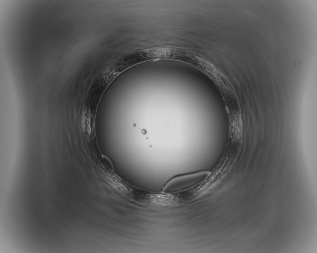 X0000116440525200912151242