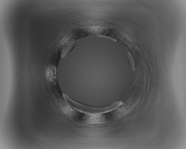 X0000116440528200912151242