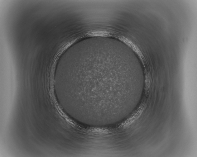 X0000116440529200912151242