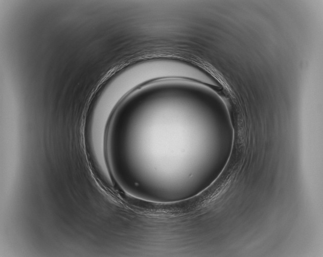 X0000116440530200912151242