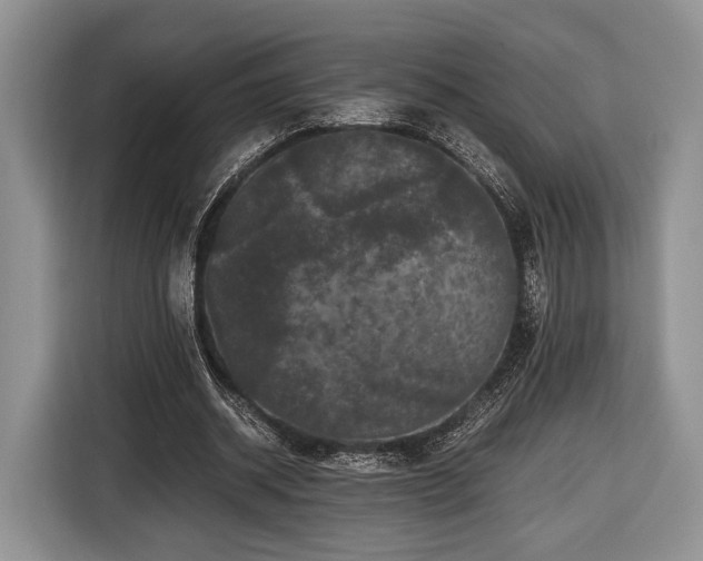 X0000116440534200912151242