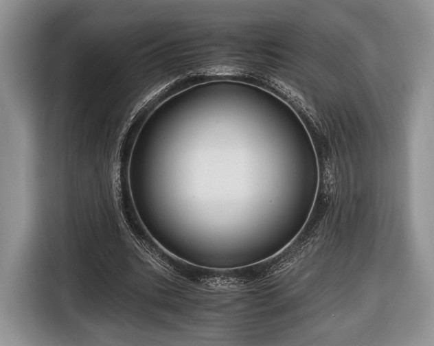 X0000116440535200912151242
