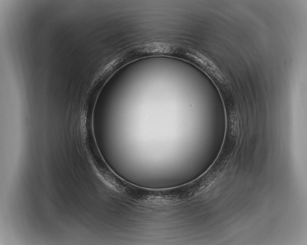 X0000116440538200912151242