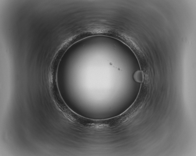 X0000116440539200912151242