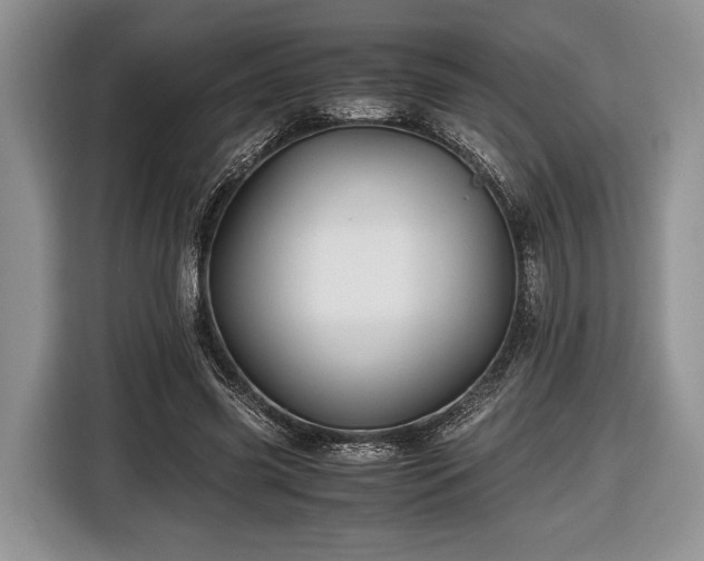 X0000116440541200912151242