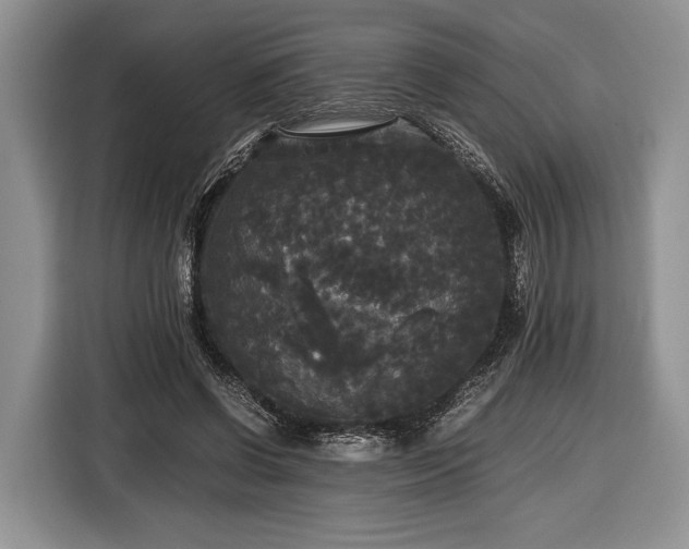X0000116440542200912151242